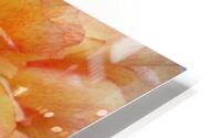 V1690 HD Metal print
