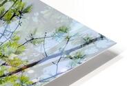 V1697 HD Metal print