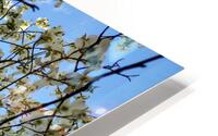 V1699 HD Metal print