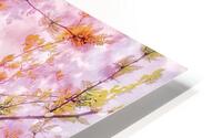 V1703 HD Metal print