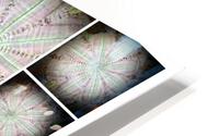 V01 HD Metal print