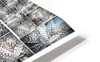 V26 HD Metal print