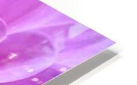 V33 HD Metal print