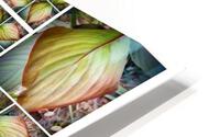 V34 HD Metal print