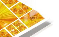 V36 HD Metal print