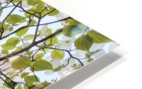 V43 HD Metal print