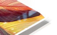 V44 HD Metal print