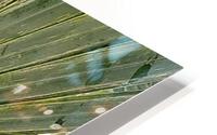 V47 HD Metal print