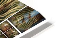 V48 HD Metal print