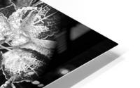V53 HD Metal print