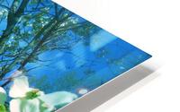 V55 HD Metal print