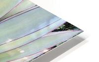V68 HD Metal print