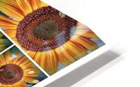 V95 HD Metal print