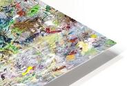V117 HD Metal print