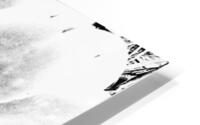 V124 HD Metal print