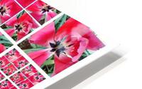 V125 HD Metal print