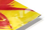 V128 HD Metal print