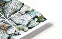 V142 HD Metal print