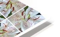 V146 HD Metal print