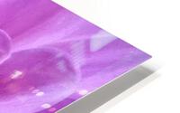 V148 HD Metal print