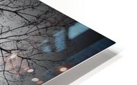 V151 HD Metal print