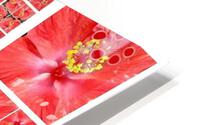 V155 HD Metal print