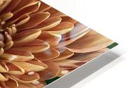 V174 HD Metal print
