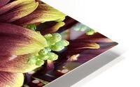 V175 HD Metal print