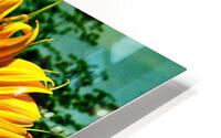 V186 HD Metal print