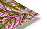 V191 HD Metal print