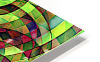 V196 HD Metal print