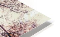 V202 HD Metal print