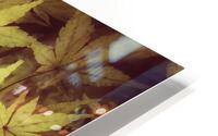 V203 HD Metal print