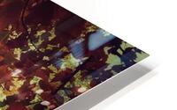 V206 HD Metal print