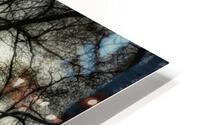 V209 HD Metal print