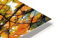 V210 HD Metal print