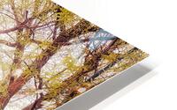 V211 HD Metal print