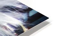 V213 HD Metal print
