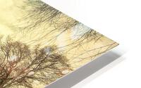 V219 HD Metal print