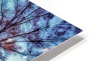 V226 HD Metal print