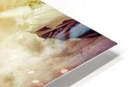 V232 HD Metal print