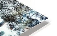 V233 HD Metal print