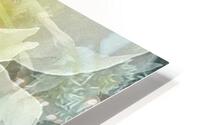 V239 HD Metal print