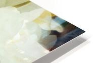 V241 HD Metal print