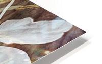 V242 HD Metal print