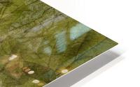 V243 HD Metal print