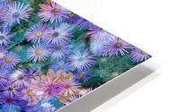 V245 HD Metal print