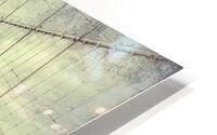 V269 HD Metal print