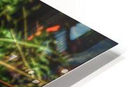 V276 HD Metal print
