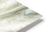 V281 HD Metal print